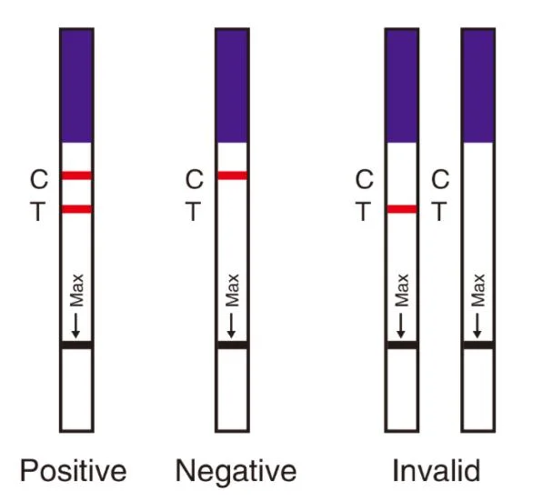 Disposable Medical Products Home Use Rapid Infectious Diseases One Step Diagnostic Hepatitis B Hbsag Test Kit (Cassette/Strip)