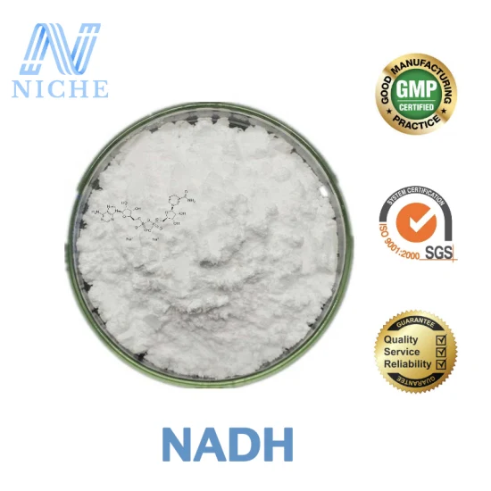 심혈관 질환을 위한 98% 효소 식이 보조제 Nadh 무료 배송 CAS: 606-68-8